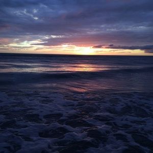 Meet your Posher, Al